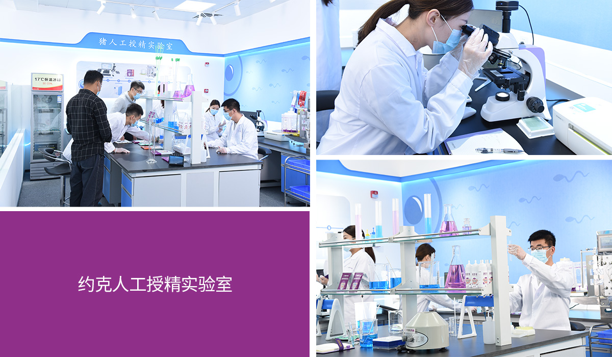 約克人工授精實驗室.jpg